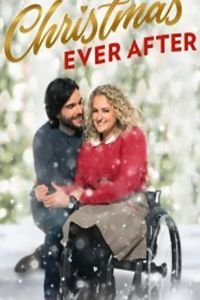   Сказочное рождество (2020)